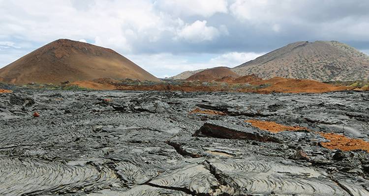 Galapagos Encounter: Central Islands (Grand Queen Beatriz) - Intrepid Travel 5