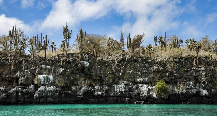Family Land Galápagos - Multi- Activités - G Adventures 6