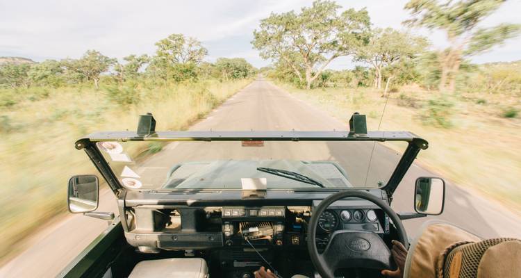The Kruger Big-5 - Premium Small Group Tour 2025 - Nomad Africa Adventure Tours 4