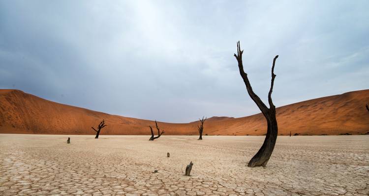 Best of Namibia - South - Classic Tour (camping & accommodated) 2025 - Nomad Africa Adventure Tours 7