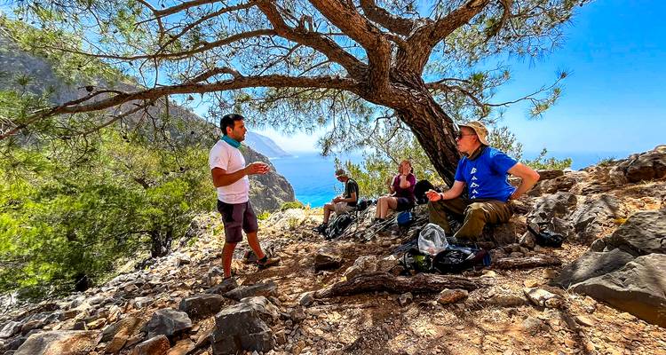 Grupo de senderismo descansando en la sombra bajo un pino con vistas a acantilados costeros empinados y al mar azul