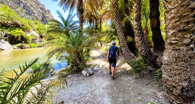 Mochilero paseando por un oasis de palmeras sombrío junto a un río poco profundo con paredes de cañón empinadas cerca