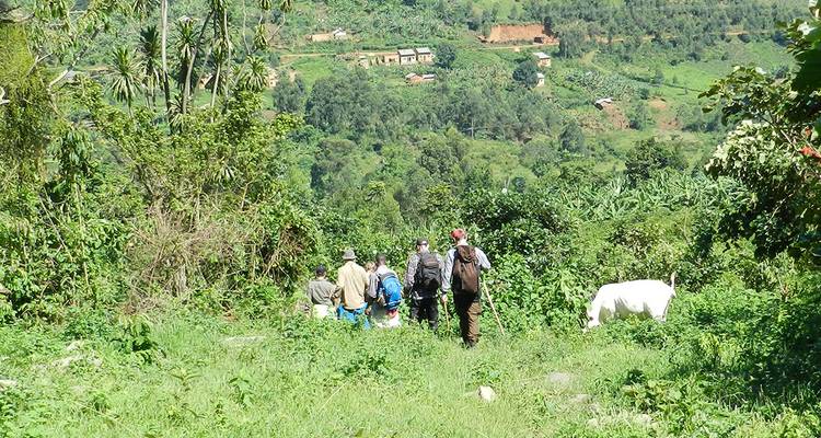 Uganda Gorilla Short Break: Original - Intrepid Travel 2