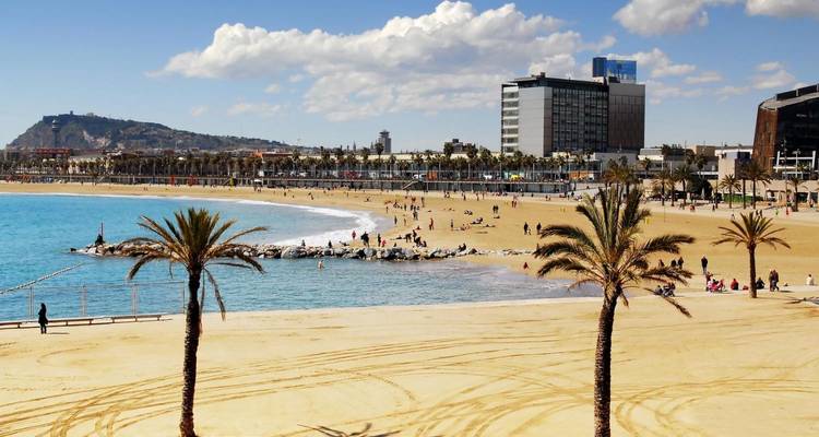 Plage de sable avec des palmiers et des bâtiments urbains.