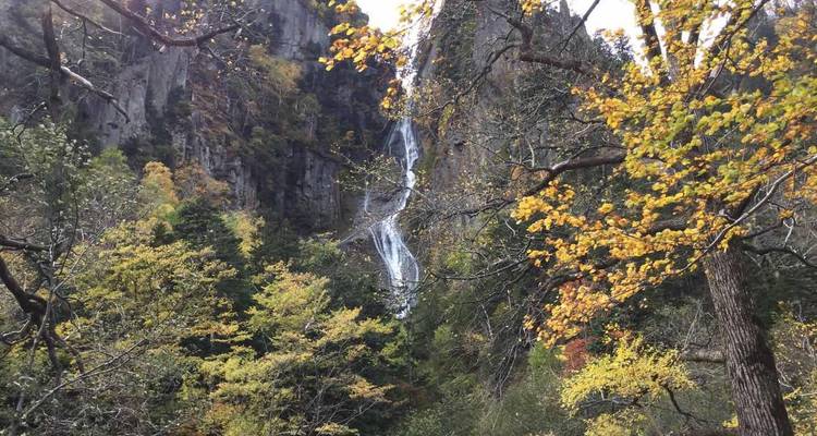 Hokkaido: El Paso de las Hojas - 8 Días - Supera Tours 2
