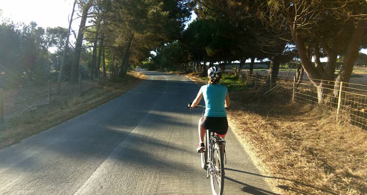 Vicentine Cost and Algarve Bike Tour - long route - Top Bike tours Portugal 3