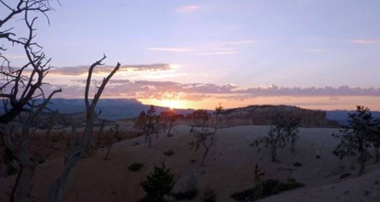 Mighty 5 de Salt Lake City - Southwest Adventure Tours 7