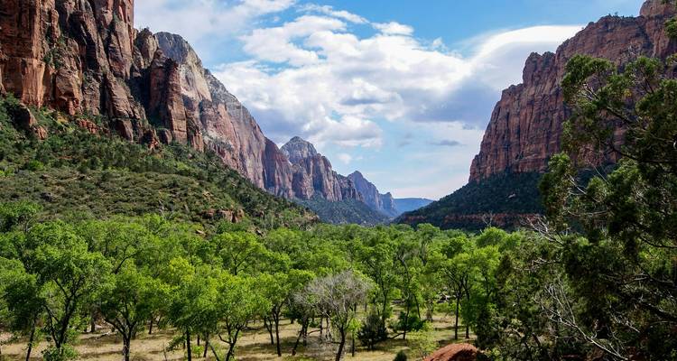 Lush cottonwood valley flanked by towering red cliffs in Zion National Park under a partly cloudy sky.