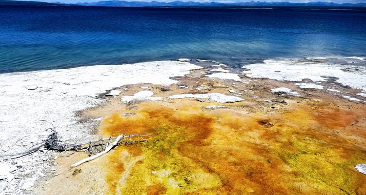 Exploration de Grand Teton et Yellowstone - 8 jours - Southwest Adventure Tours 9