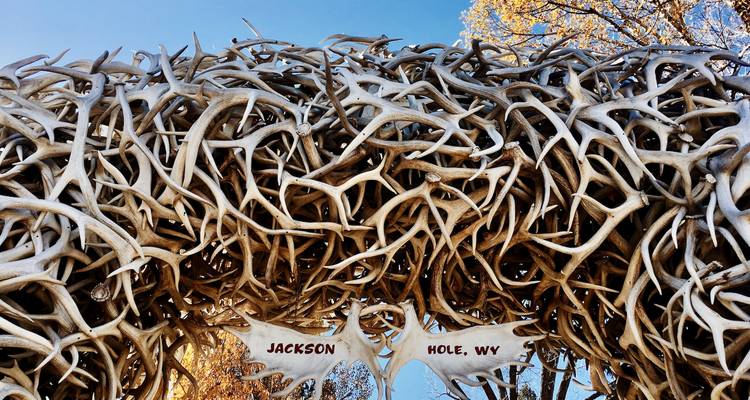 Arche complexe faite de bois de cerfs empilés étiquetée 'Jackson Hole, WY' sous un ciel dégagé.