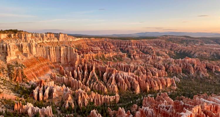 Vue expansive des cheminées de fée orangées de Bryce Canyon illuminées par la douce lumière du lever du soleil.