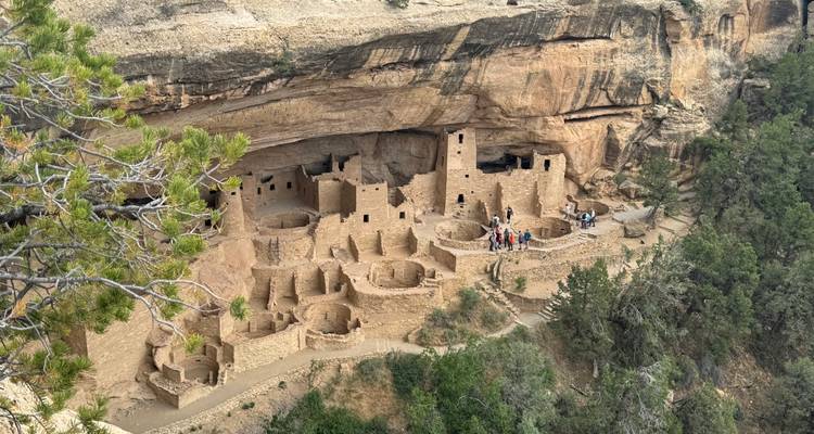 Les visiteurs explorent les vastes ruines du palais des falaises de Mesa Verde nichées dans une alcôve de grès.
