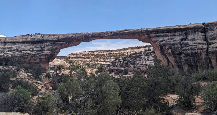 Grande arche de pierre naturelle enjambe un paysage de canyon désertique avec des genévriers et des pins pignons en contrebas.
