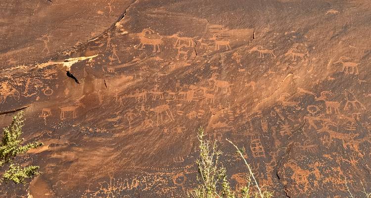 Rock wall covered in intricate petroglyphs of animals and human figures etched into dark desert varnish.