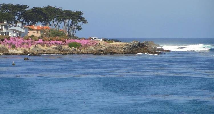 Yosemite, Sequoia, & California Coast - Southwest Adventure Tours 7