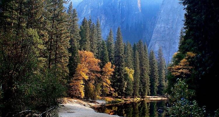 Yosemite, Sequoia, & California Coast - Southwest Adventure Tours 2