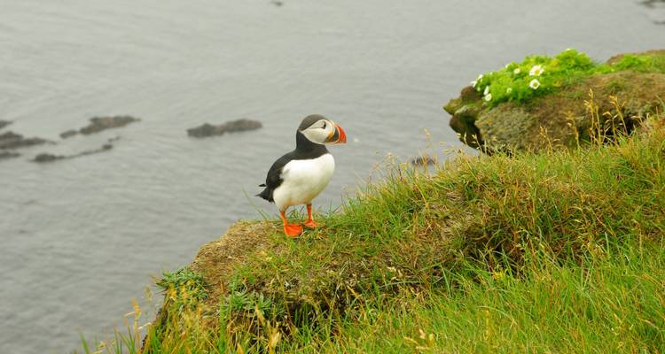 Circuit terrestre en groupe en Islande - Madventure 7