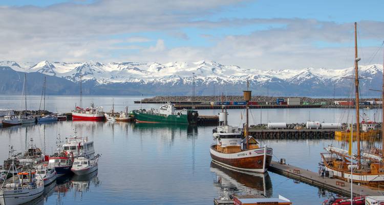 Circuit terrestre en groupe en Islande - Madventure 8