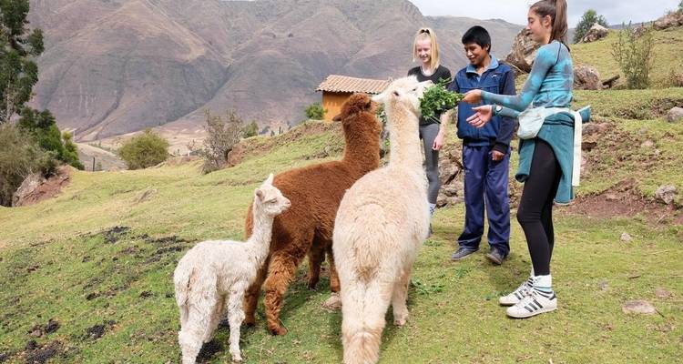 Perú - Niños de los Andes - Discover Corps 2