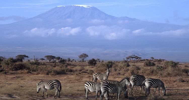 Tanzania – Safari & Service - Discover Corps 7