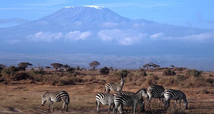 Tanzania – Safari & Service - Discover Corps 3