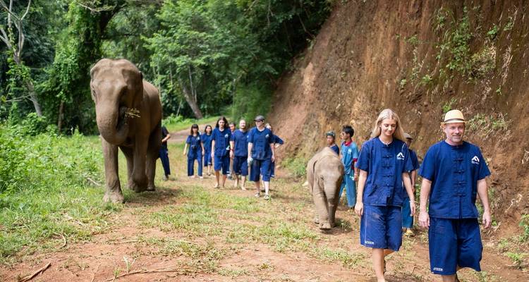 Thaïlande - L'expérience de l'éléphant - Discover Corps 9