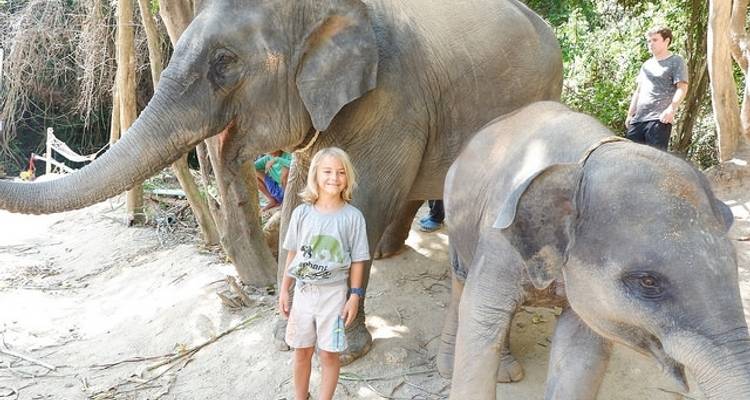 Thaïlande - L'expérience de l'éléphant - Discover Corps 7