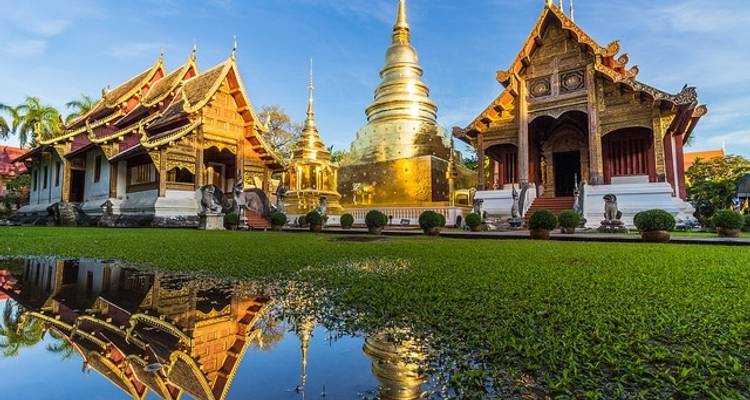 Thaïlande - L'expérience de l'éléphant - Discover Corps 4