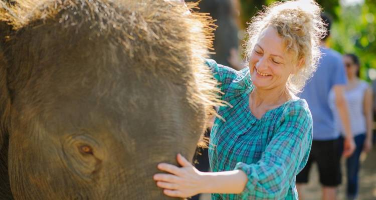 Persona interactuando alegremente con un elefante.