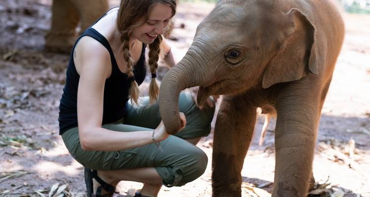 Persona creando vínculos con un elefante bebé.