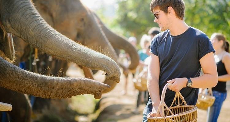 Thaïlande - L'expérience de l'éléphant - Discover Corps 8