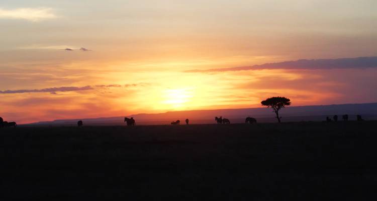 Kenya - Safari et conservation - Discover Corps 7