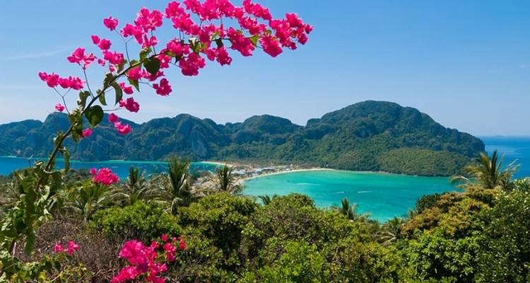 Tailandia - Expedición Elefantes e Islas - Discover Corps 2