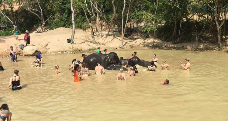 Tailandia - Expedición Elefantes e Islas - Discover Corps 8