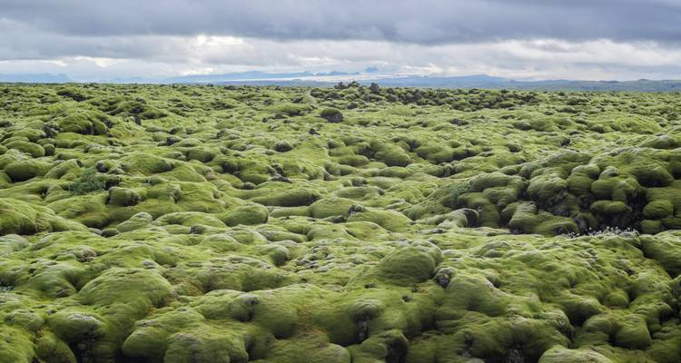 Circuit de 8 jours en voiture | Fantastic Iceland - Iceland Travel 6