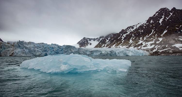 En busca del círculo polar antártico - G Adventures 2