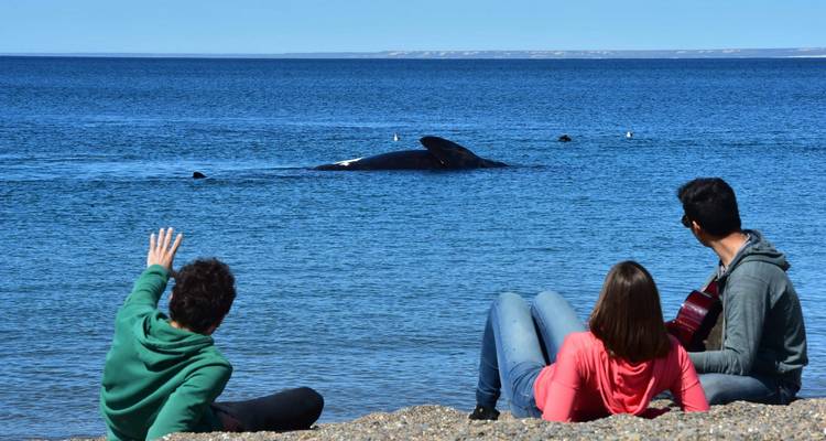Best of Puerto Madryn in 3 nights - Milhouse Cusco Tours 3