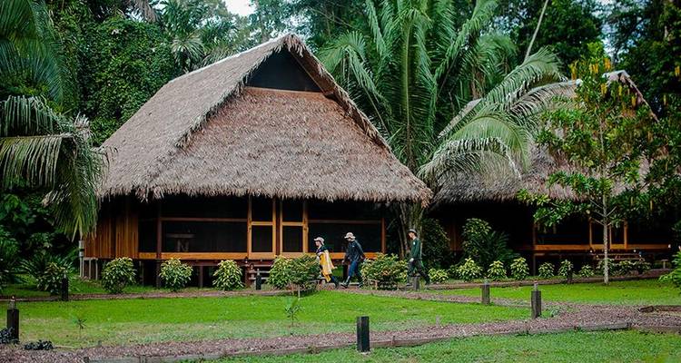 Puerto Maldonado Amazon Field Station 3D/2N - de Puerto Maldonado - Bamba Travel 2
