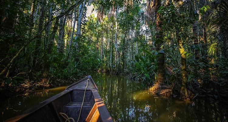 Puerto Maldonado Amazon Field Station 3D/2N - de Puerto Maldonado - Bamba Travel 10