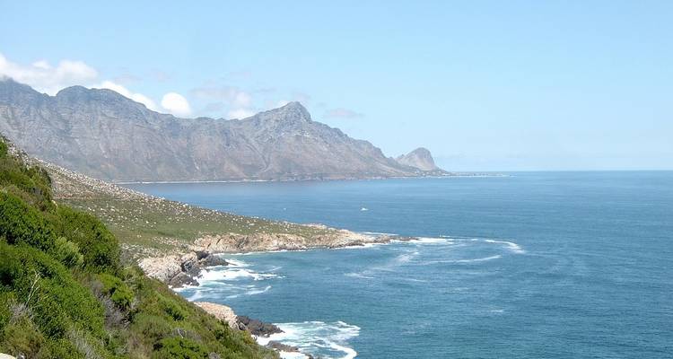 Safari animalier - aller- retour - 2 jours - Cape Xtreme 7