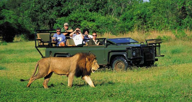 Safari animalier - aller- retour - 2 jours - Cape Xtreme 4