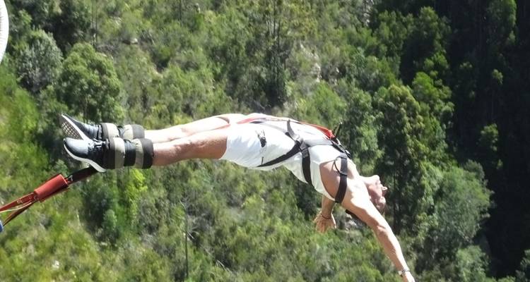 Persona haciendo puenting con paisaje boscoso.