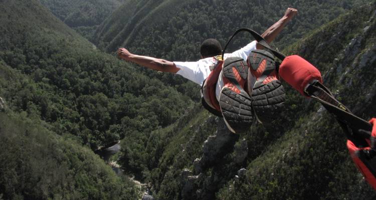 Persona haciendo puenting, mirando hacia abajo al bosque.
