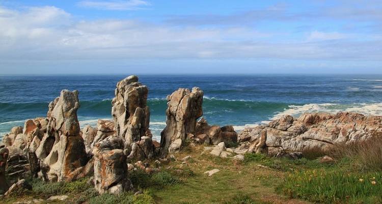 Safari de 5 días de Cabo a Addo - Ida y vuelta - Cape Xtreme 2