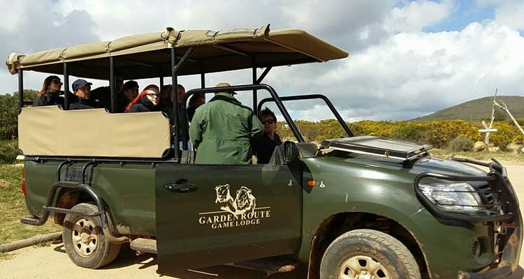 7 Day Cape Town & Garden Route Package - Cape Xtreme 6
