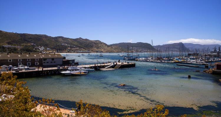 Le Cap, la Route des jardins et Addo - 8 jours - Cape Xtreme 6