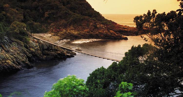 Le Cap, la Route des jardins et Addo - 8 jours - Cape Xtreme 9