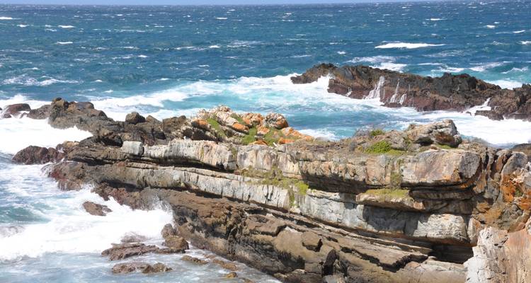 Le Cap, la Route des jardins et Addo - 8 jours - Cape Xtreme 1