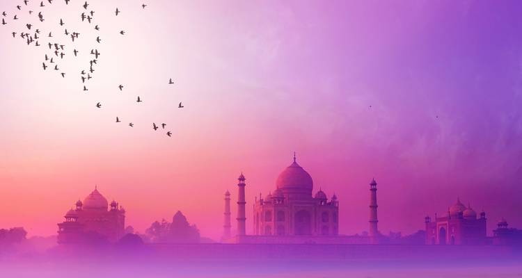 Vue dramatique du Taj Mahal au lever du soleil avec des oiseaux dans le ciel.