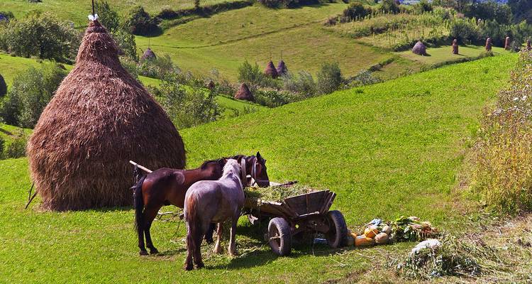Circuit de deux jours dans les Maramures au départ de Cluj-Napoca - Rolandia 8